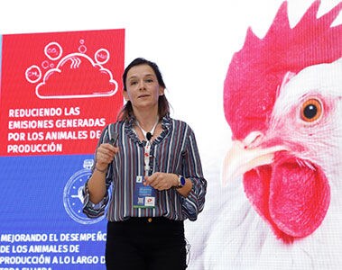 Transforming the sustainability of Latin American Poultry at AMEVEA events in Chile and Colombia