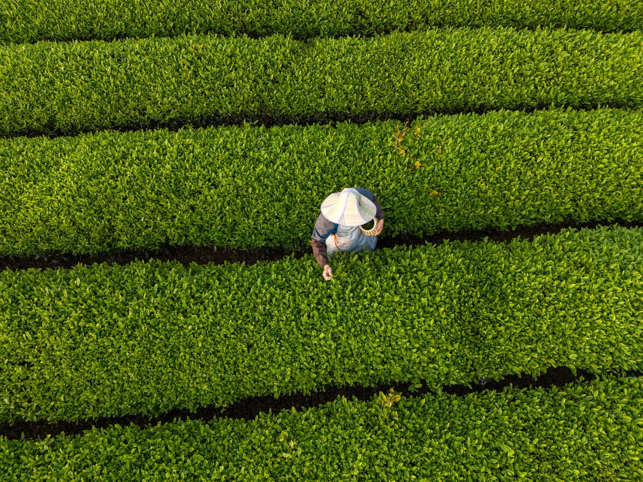 Debunking Four Sustainability Myths: A CSO's Guide