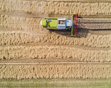 Ditching the averages: why farm-level data is key to measurably improving scope 3 emissions in the food sector