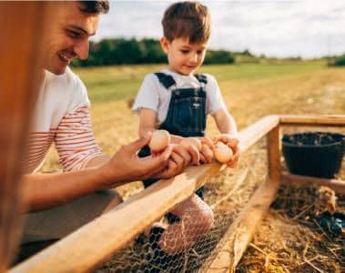 Progress and Opportunity for Sustainable Poultry 