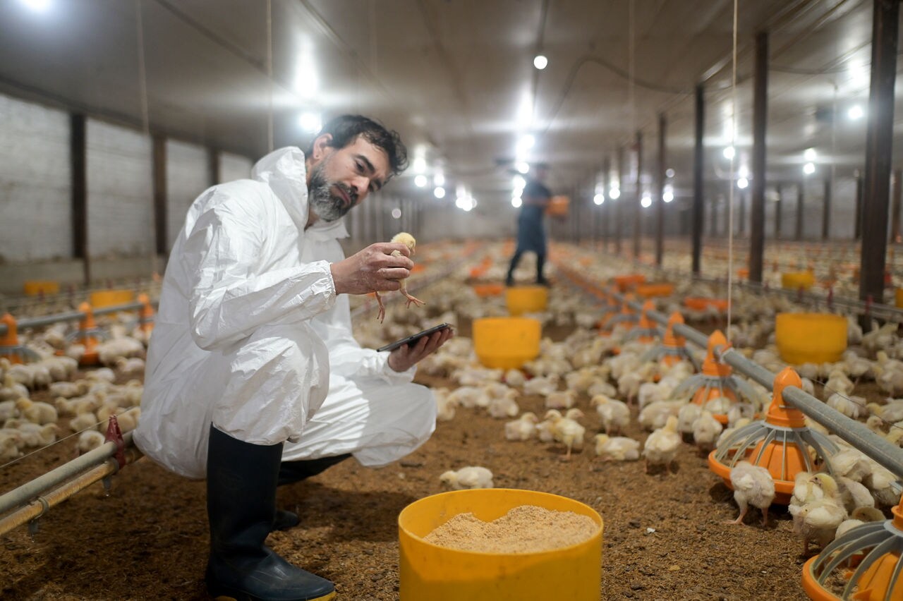 Sustell™ update: Dairy 2.0 module for environmental footprinting