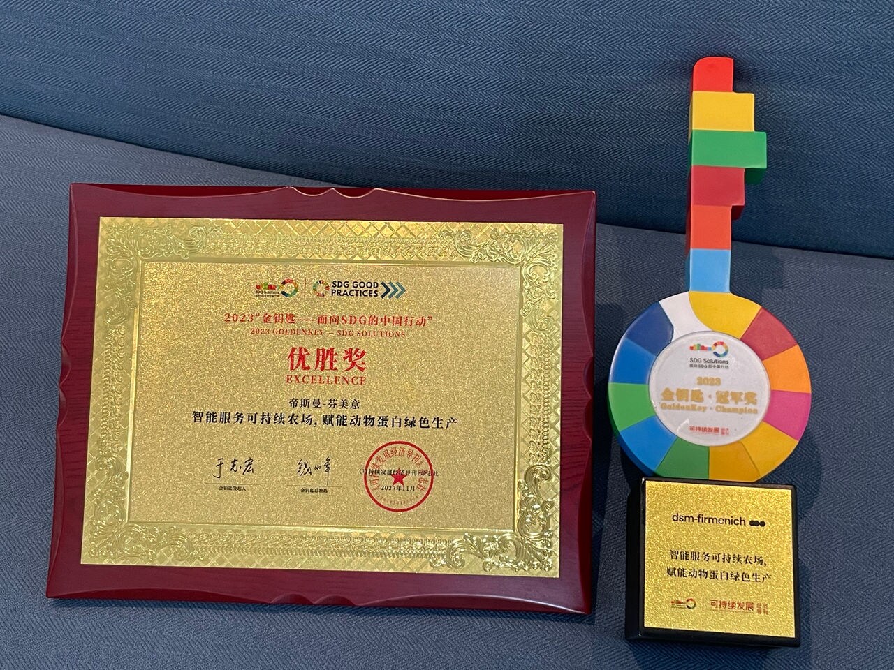 The ‘Golden Key’ awards received by dsm-firmenich