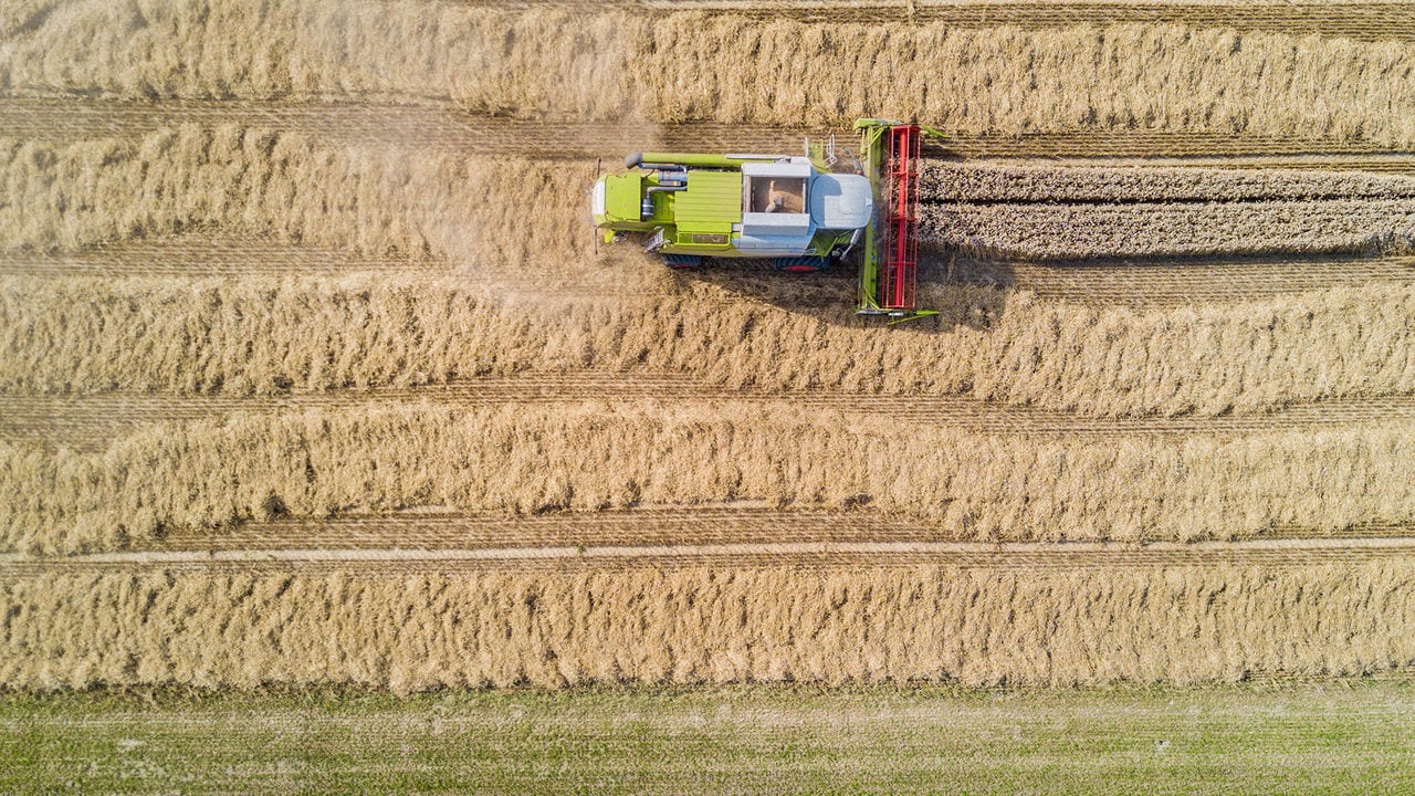 Ditching the averages: why farm-level data is key to measurably improving scope 3 emissions in the food sector