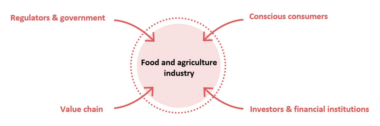 Figure 1. Sustainability related drivers in food and agriculture