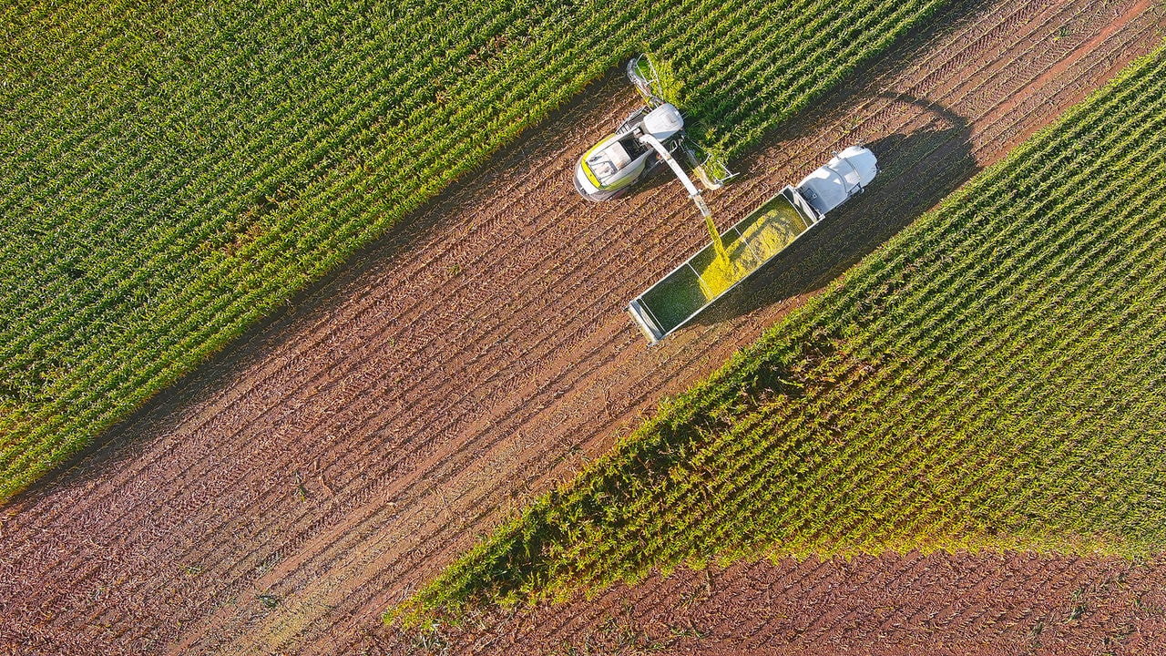 New EU Code of Good Labelling Practice Endorsed: A Step Forward for Feed Producers