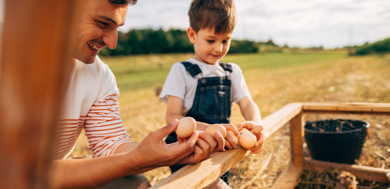 Sustainable beef’s present and future