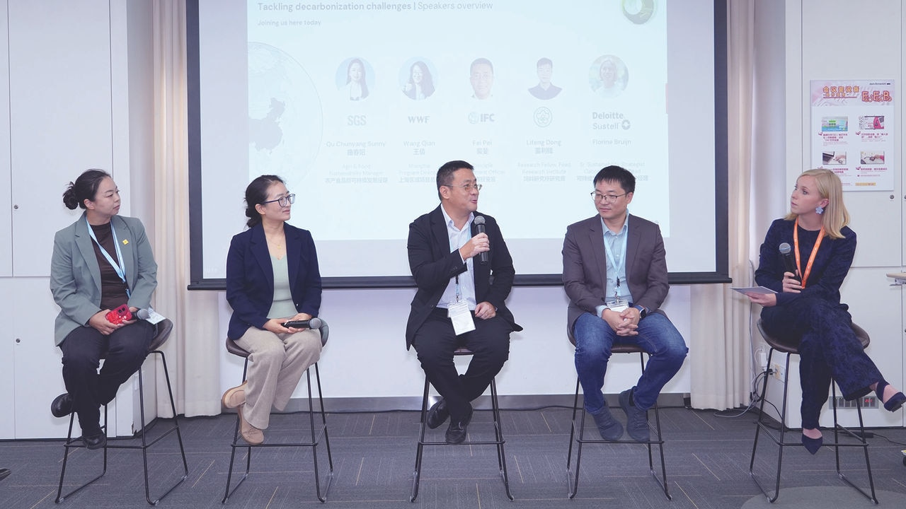 Decarbonization and the China Context