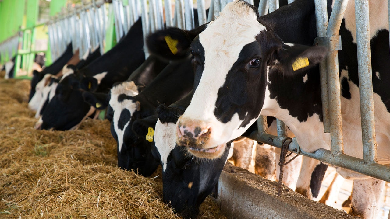 Sustell™ update: Dairy 2.0 module for environmental footprinting